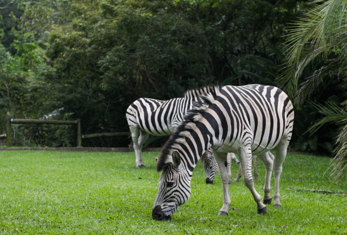 Forests, Parks, Gardens and Nature Reserves